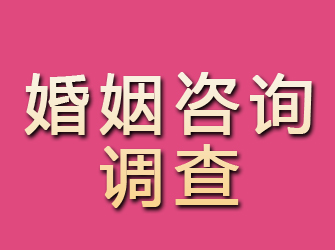 公安婚姻咨询调查